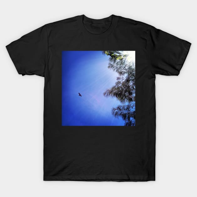 Eagle in Flight T-Shirt by wanungara